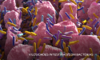 fundamentos do microbioma