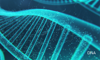 DNA