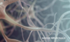 Masse Neuronale