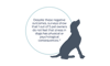 Despite these negative outcomes, surveys show that 1 out of 5 pet owners do not feel that stress in dogs has physical or psychological consequences