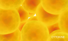 cytokine-image.png