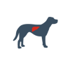 dog liver icon