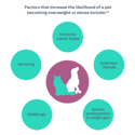 Factors that increase the likelihood of a pet becoming overweight or obese include:1,2. Age, Neutering, Excessive calorie intake, Sedentary lifestyle, Genetic predisposition to gain weight.