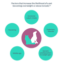 Factors that increase the likelihood of a pet becoming overweight or obese include:1,2. Age, Neutering, Excessive calorie intake, Sedentary lifestyle, Genetic predisposition to gain weight.