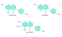 Chemical composition of soy isoflavones. Genistein (C15H10O5), Daidzein (C15H10O4), Glycitein (C16H12O5)