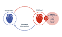 old heart graphic