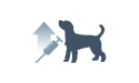 注射器と犬のアイコン