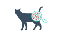 猫と虫眼鏡のアイコン