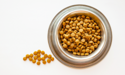 Bowl of Pet Food