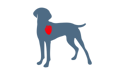 dog with heart highlighted icon
