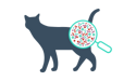 cat magnifying icon