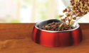 dry kibble filling a pet bowl