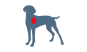 dog with heart highlighted icon