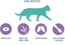 猫过敏的症状