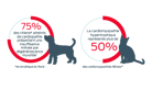 75 % des chiens atteints de maladie cardiaque ont une MMVD et plus de 50 % présentent une CMH