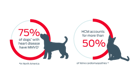 75% of dogs with heart disease have MMVD and HCM accounts for more than 50%