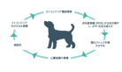 犬とミトコンドリアの図