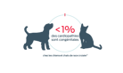 < 1 % des maladies cardiaques sont congénitales chez les chiens et les chats de races mixtes
