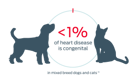 < 1% of heart disease is congenital in mixed breed dogs and cats