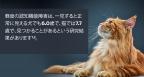 軽度認知障害