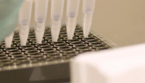 Purina Institute の DNA セクション