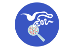 icône microbiome intestinal