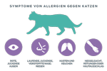 neutralisierung-von-allergenen-symptome-von-katzenallergien