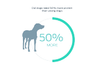 old dogs need 50% more protein than young dogs