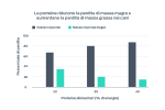 le proteine riducono la perdita di massa magra e aumentano la perdita di massa grassa nei cani