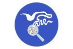 腸内微生物叢のアイコン
