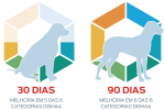 síndrome de disfunção cognitiva cão hexi gráfico