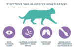 Symptome einer Katzenallergie