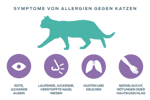 neutralisierung-von-allergenen-symptome-von-katzenallergien