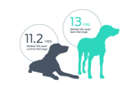 median life span in dogs