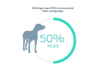 old dogs need 50% more protein than young dogs