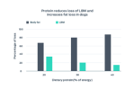 protein reduces loss of lbm increases fat loss in dogs