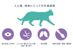猫アレルギーの症状