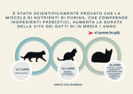 purina-istituto-studio