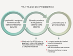 benefici dei prebiotici