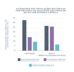 gráfico de fezes felinas