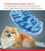 犬早期 mmvd 的新型膳食干预