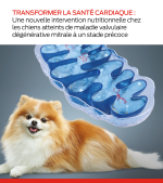 nouvelle intervention diététique pour les chiens à un stade précoce mmvd