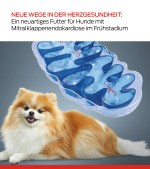neuartige diätetische Maßnahme für Hunde mit MMVD im Frühstadium
