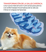 Nueva intervención dietética para perros en etapa temprana mmvd