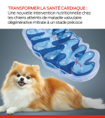 nouvelle intervention diététique pour les chiens à un stade précoce mmvd