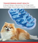 初期段階の犬のための新しい食事療法MMVD