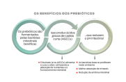 benefícios dos prebióticos