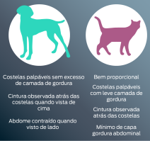 Cão: formato de ampulheta quando visto de cima. Sinta as costelas com facilidade. Dobra de barriga quando vista de perfil. Gato: mínimo de gordura na barriga de perfil. Sinta as costelas com facilidade. Formato de ampulheta quando visto de cima.