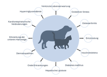 Geringere Lebenserwartung, oxidativer Stress, Osteoarthritis, Entzündung, Insulinresistenz, Diabetes mellitus, hepatische Lipidose, orale Erkrankungen, Dermatopathien, Erkrankungen des unteren Harntrakts, kardiorespiratorische Veränderungen, Hypertriglyceridämie.