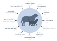 Longévité réduite, stress oxydatif, arthrose, inflammation, résistance à l'insuline, diabète sucré, lipidose hépatique, maladies buccales, dermatopathies, maladie des voies urinaires inférieures, problèmes cardiorespiratoires, hypertriglycéridémie.